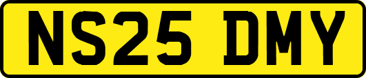 NS25DMY