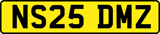 NS25DMZ