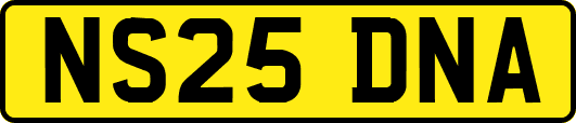 NS25DNA