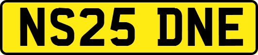 NS25DNE