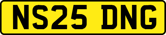 NS25DNG