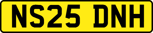 NS25DNH