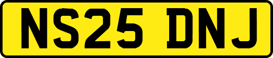 NS25DNJ