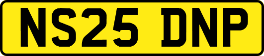 NS25DNP