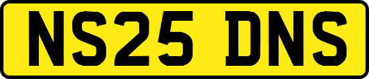 NS25DNS