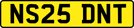 NS25DNT