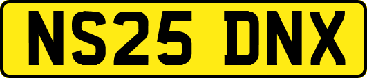 NS25DNX
