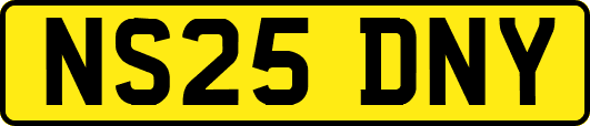 NS25DNY