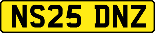 NS25DNZ