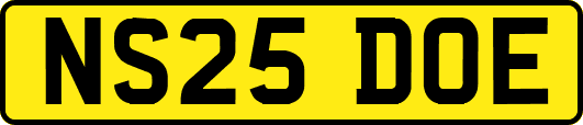 NS25DOE