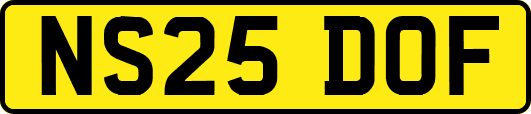 NS25DOF