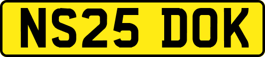NS25DOK