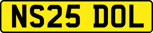 NS25DOL
