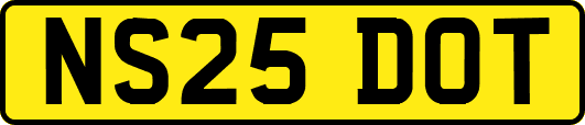 NS25DOT