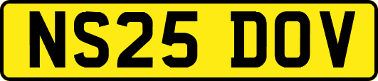 NS25DOV