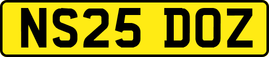 NS25DOZ