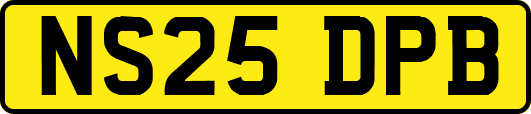 NS25DPB