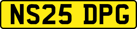 NS25DPG