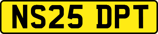 NS25DPT