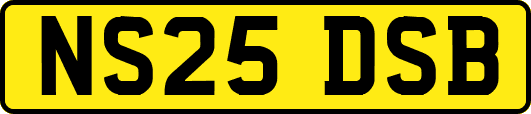 NS25DSB