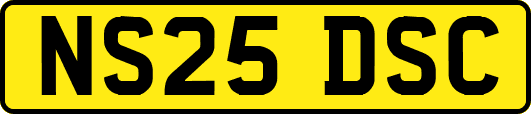 NS25DSC