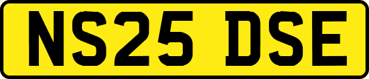NS25DSE