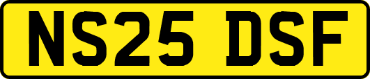 NS25DSF