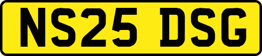 NS25DSG