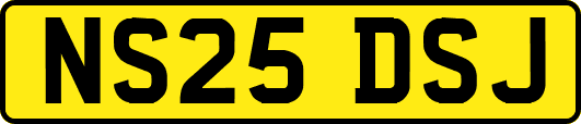 NS25DSJ