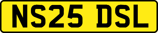 NS25DSL