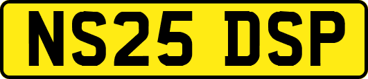 NS25DSP