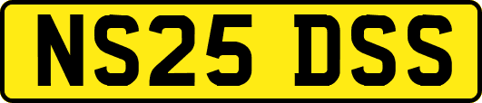 NS25DSS
