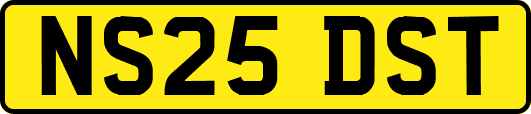NS25DST