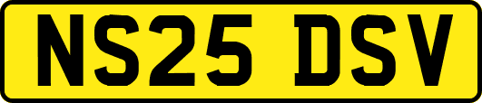 NS25DSV