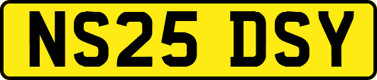 NS25DSY