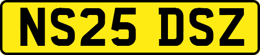 NS25DSZ