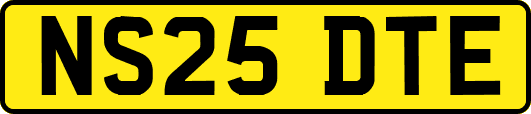 NS25DTE