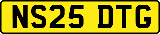 NS25DTG