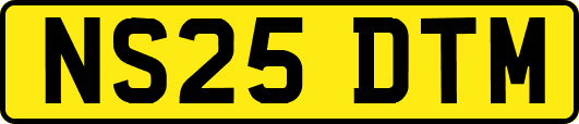 NS25DTM