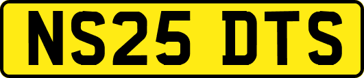 NS25DTS