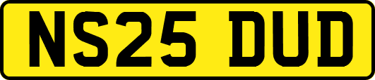 NS25DUD