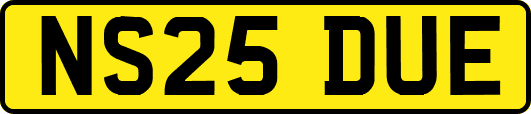 NS25DUE