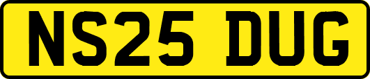 NS25DUG