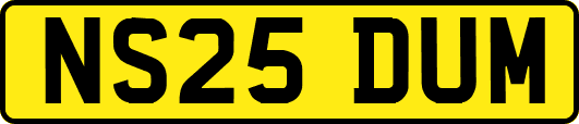NS25DUM
