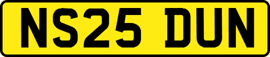 NS25DUN