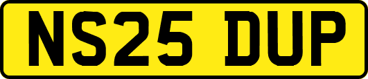 NS25DUP