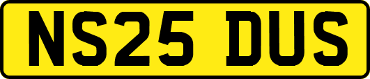 NS25DUS