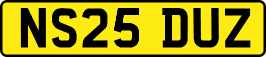 NS25DUZ