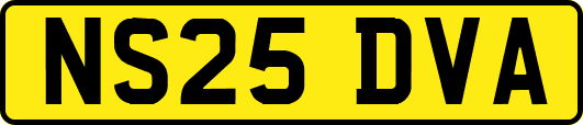 NS25DVA