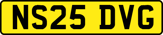 NS25DVG